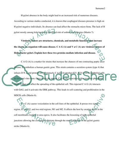 Foods that cause h pylori picture