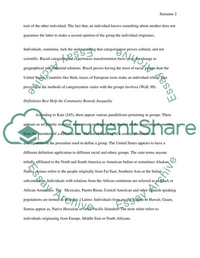 race essay example