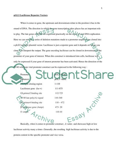 The coding gene downstream of the cloned promoter encodes luciferase reporter gene (Luc)
