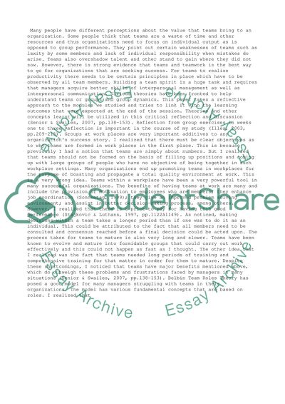 Effective Team and Management