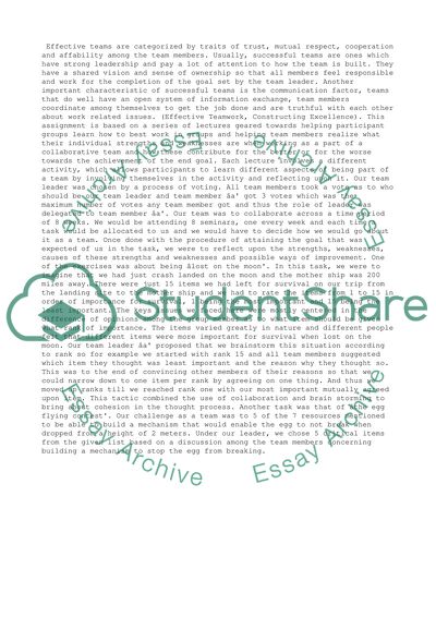 Effective Team and Performance Management