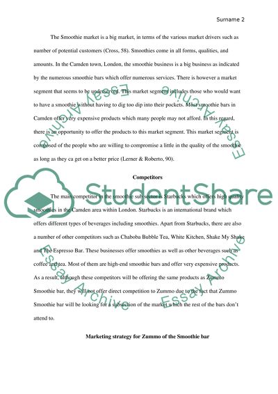 Zummo Smoothie Bar International: Marketing Strategy