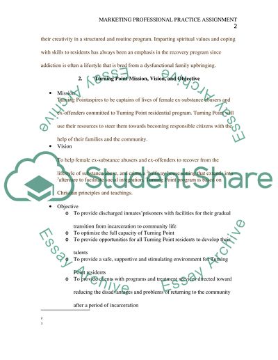 Marketing Professional Practice Assignment