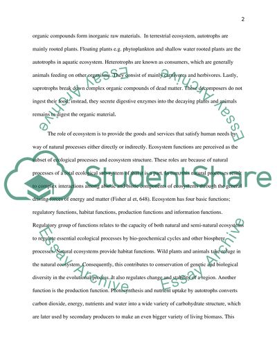 The Role of Ecosystem