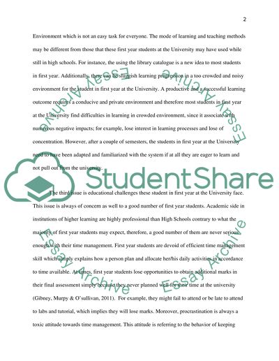 What are the key issues faced by first year undergraduates