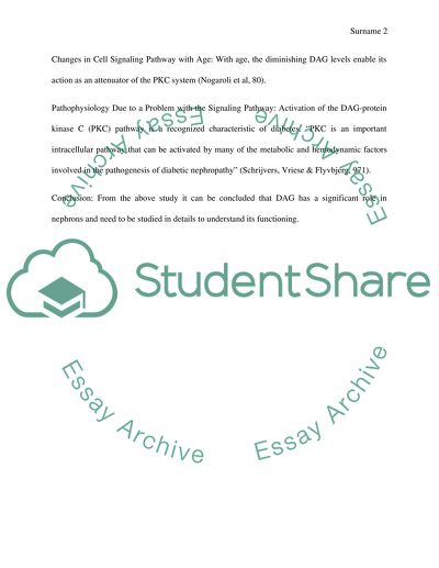 Diacylglycerol in Nephron