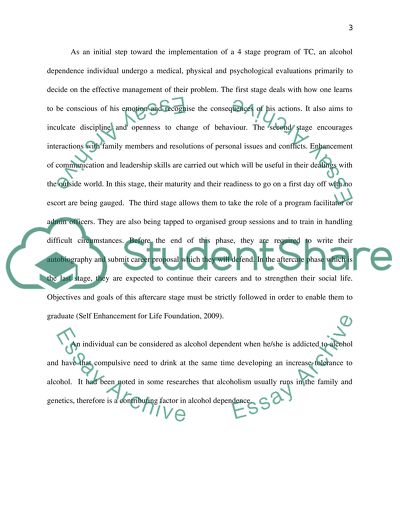 Interview with and Analysis of the Work of a Professional from Other Non Educational Disciplines