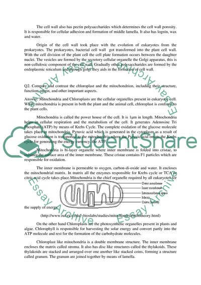 Short Answers for Plant Diversity Botany Class
