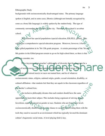 Ethnography Report for a High School