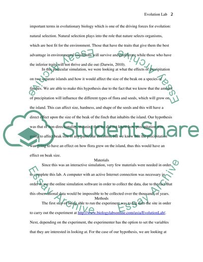 Evolution lab essay 08 image