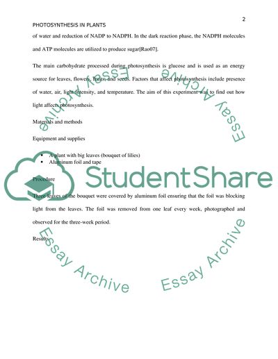 essay questions about photosynthesis