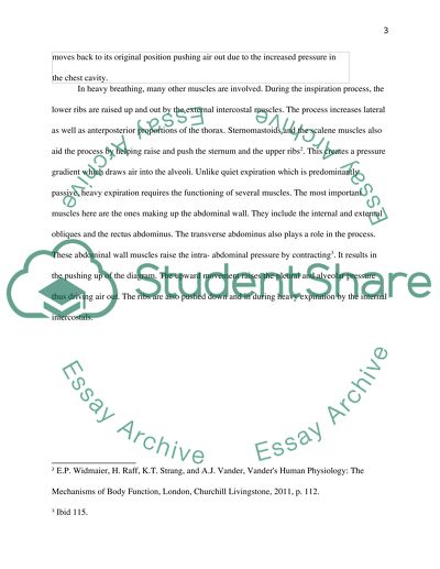 Describe the structures and regulatory mechanisms essential for both quiet and heavy breathing