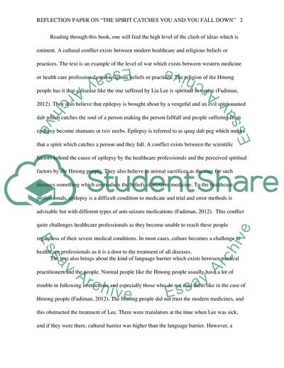 Analysis of The Spirit Catches You and You Fall Down Book