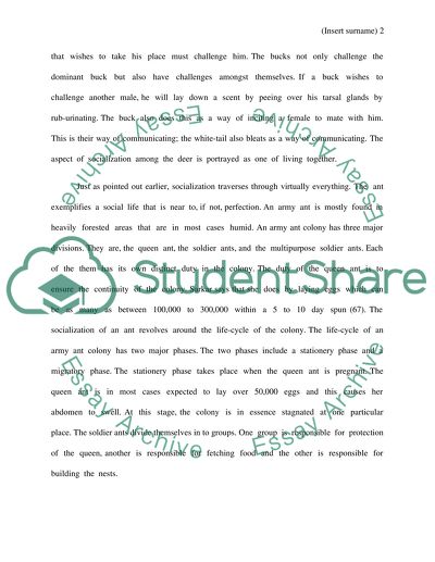 Social Behavior in Animals