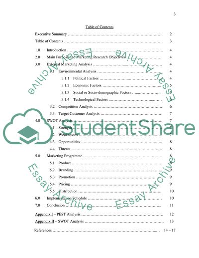 Marketing for Nissan the Automobile Company