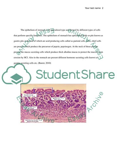 Epithelium of the GIT