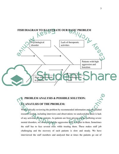 Therapeutic Activity to the Psychiatric Patient