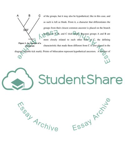General Essay Topics In English The Thesis Statement In A Research Essay Should also Environmental Health Essay Essay Evolution Essay Topics With Human Evolution Essay How To Write An Essay Proposal Example
