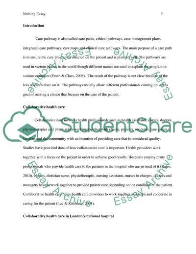 Collaborative Care-Collaborative between Professionals