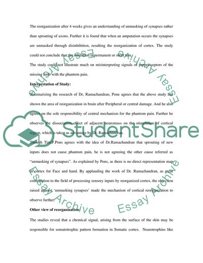 Perceptual Correlates of Massive Cortical Reorganization