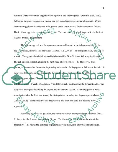 Clinical Physiology for Paramedics, Reproduction and Pregnancy