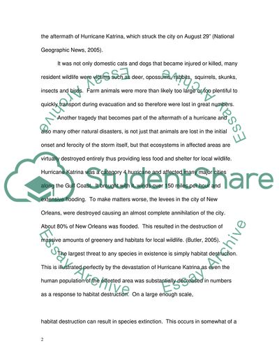 Animals in Natural Disaster Settings: Hurricane Katrina