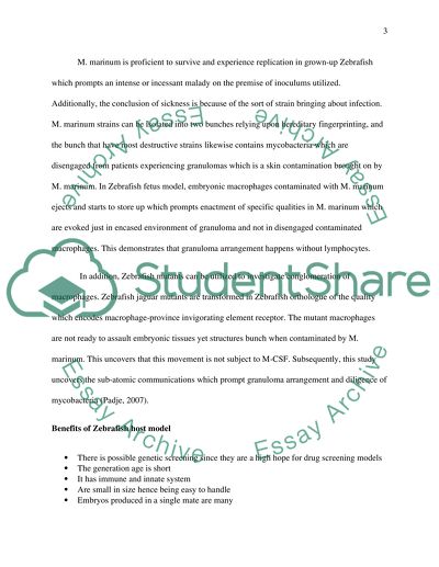Models That Help to Identify Diseases at Molecular Level