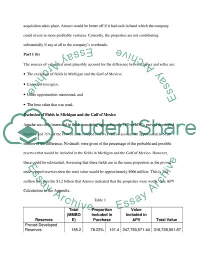 MW Petroleum Corporation: Finance Case