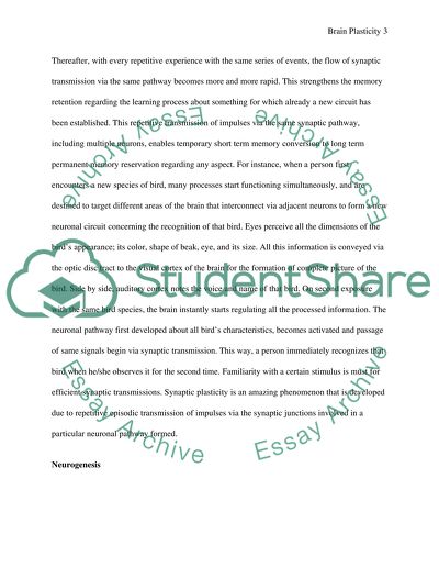 Brain essay