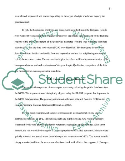Comparative Genomics