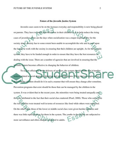 Future of the Juvenile Justice System Presentation and Paper