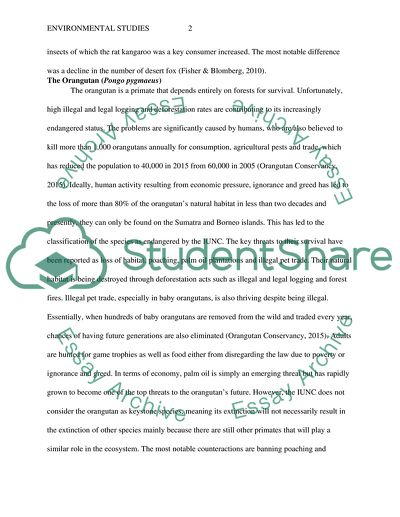 The Desert Rat-Kangaroo