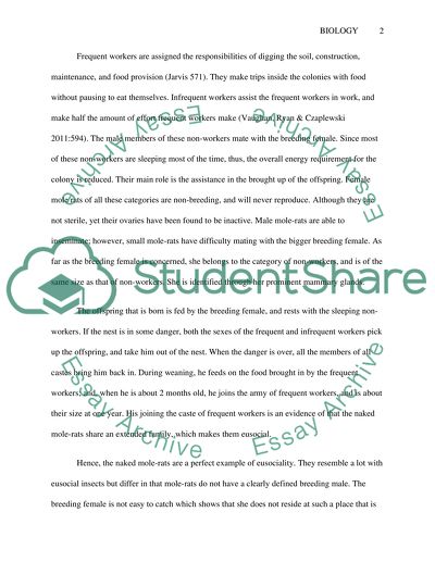 Naked Mole Rats: Genus Heterocephalus Glaber