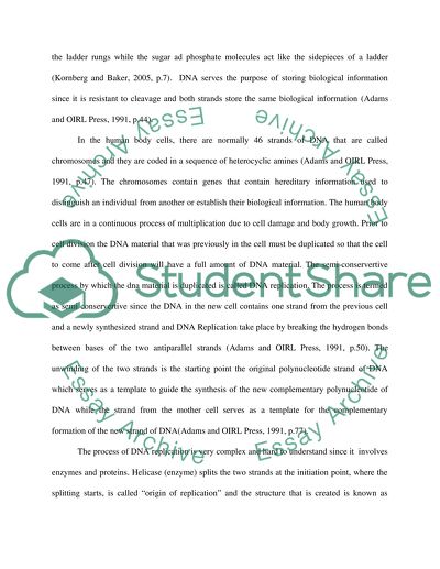 DNA synthesis and repair