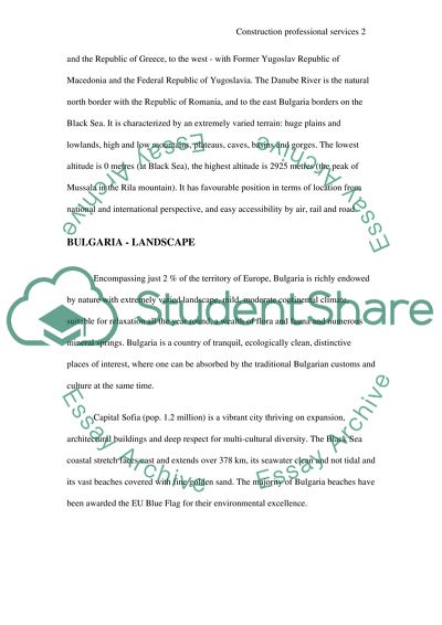 Construction Professional Services