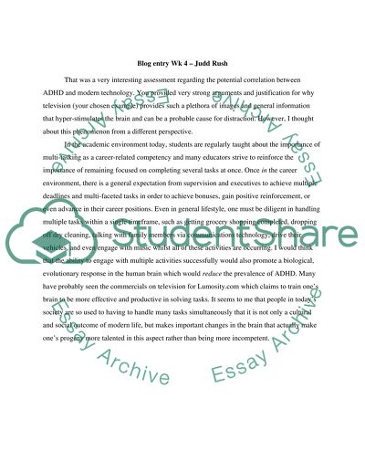 BLOG 3 Rainsong Gates