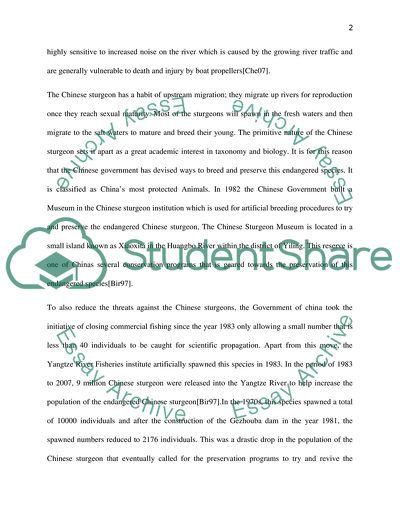 The Extinction of the Chinese Sturgeon