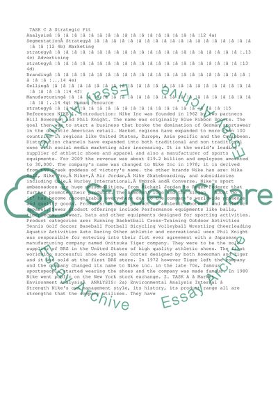 Sports Equipment Company Strategic Analysis