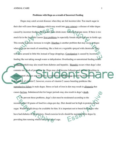 Problems with Degu as a result of Incorrect Feeding