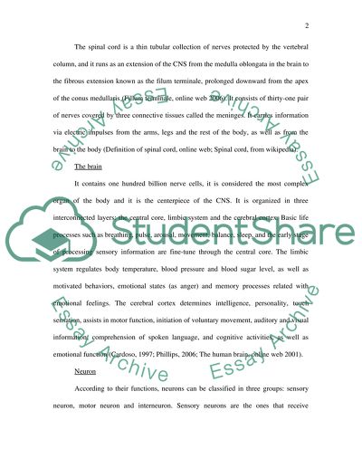 Human Systems Coordination