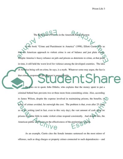 The Relevance of Prisons in the American Justice System