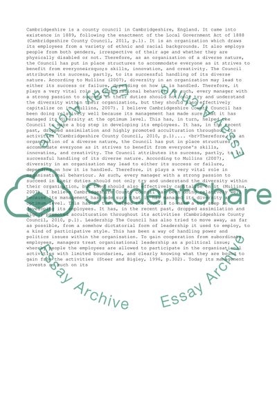 Organisational Behaviour Issues