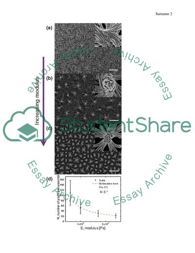 The effect of drying process in Micro Brushes