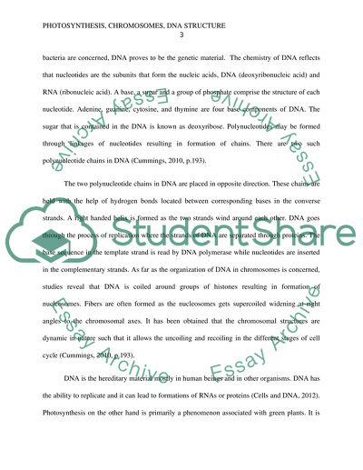 Dna structure essay