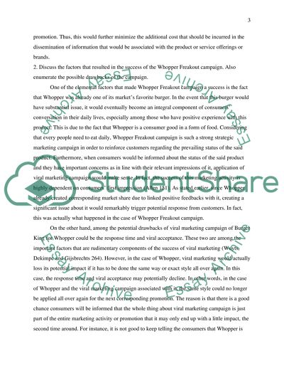 Burger King Marketing Campaign Analysis