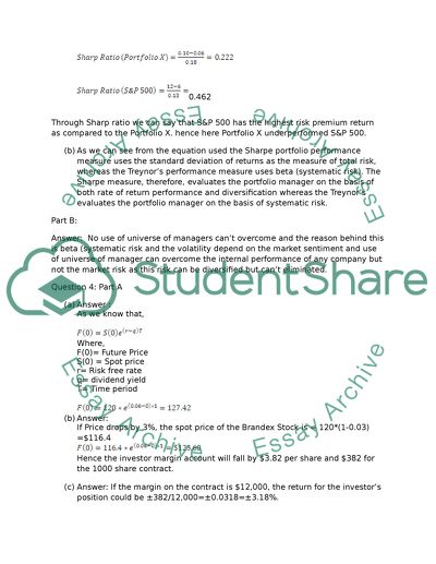 Investment Ratios Issues