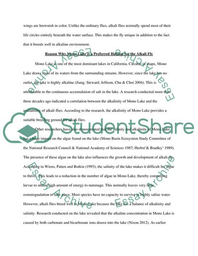 Alkali Flies in Mono Lake