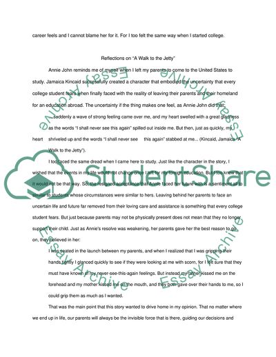 Reflections of a 17 Year Old