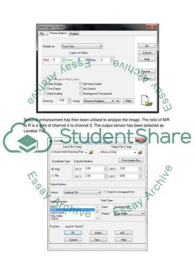 Writing Scientific Report