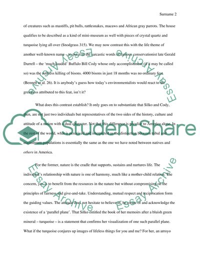 Native american culture